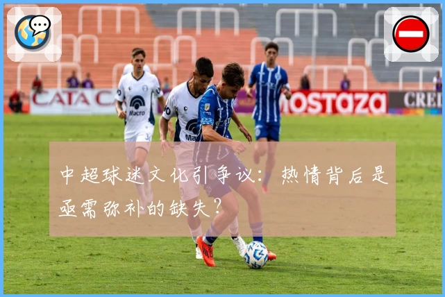 中超球迷文化引争议：热情背后是亟需弥补的缺失？
